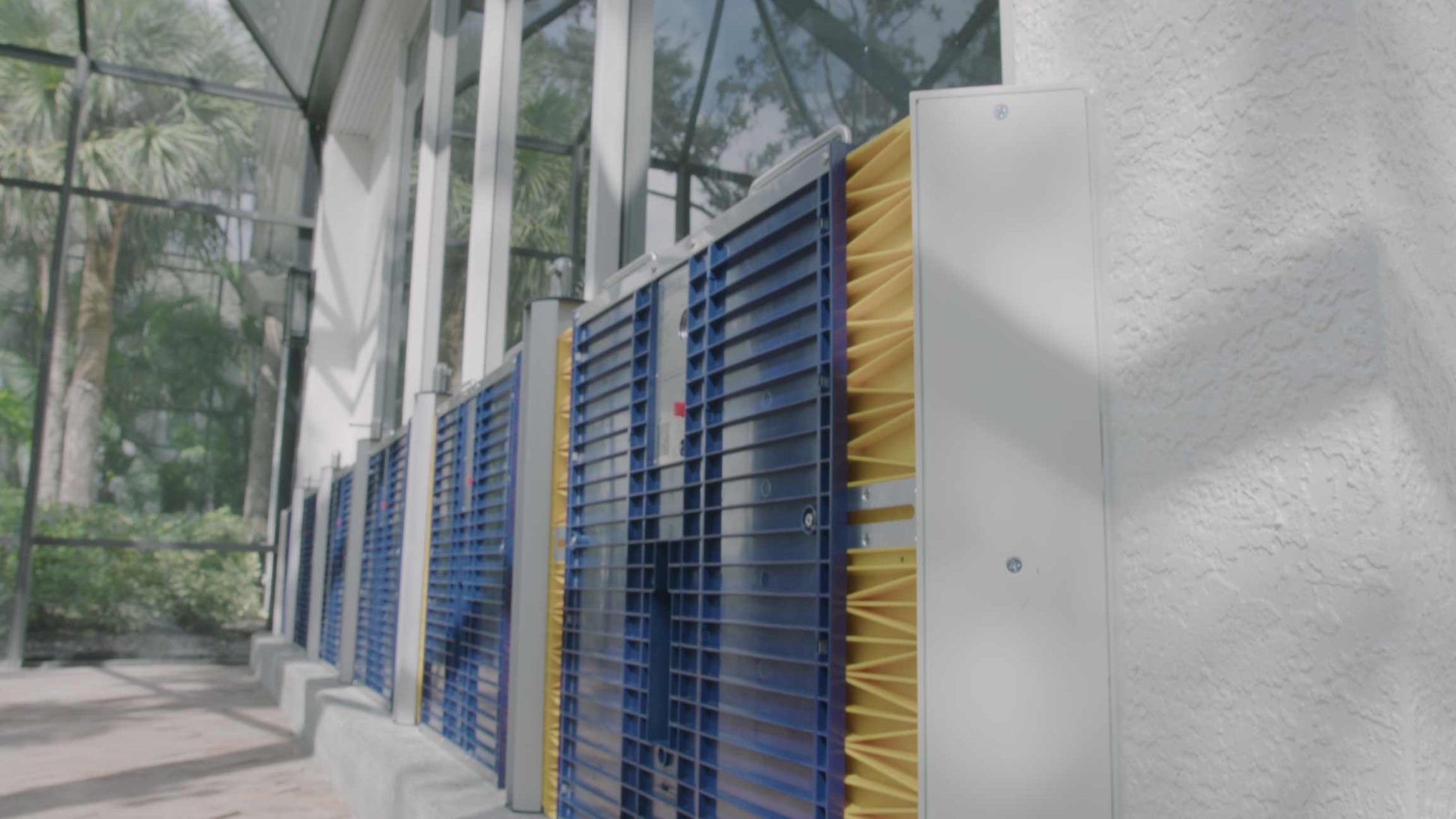 Dam Easy Dam Jam (Artificial Reveal) - Dam Easy