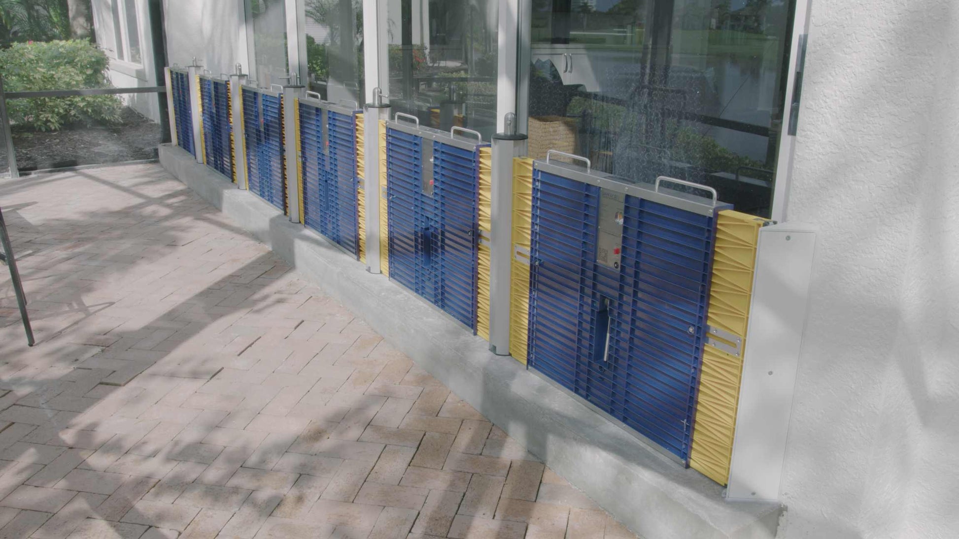 Dam Easy Dam Jam (Artificial Reveal) - Dam Easy